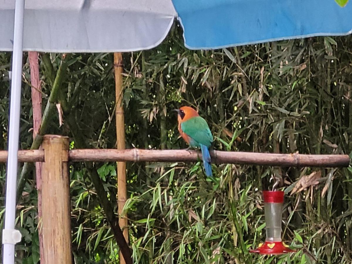 Mindo Glambird Glamping & Lodge Bagian luar foto