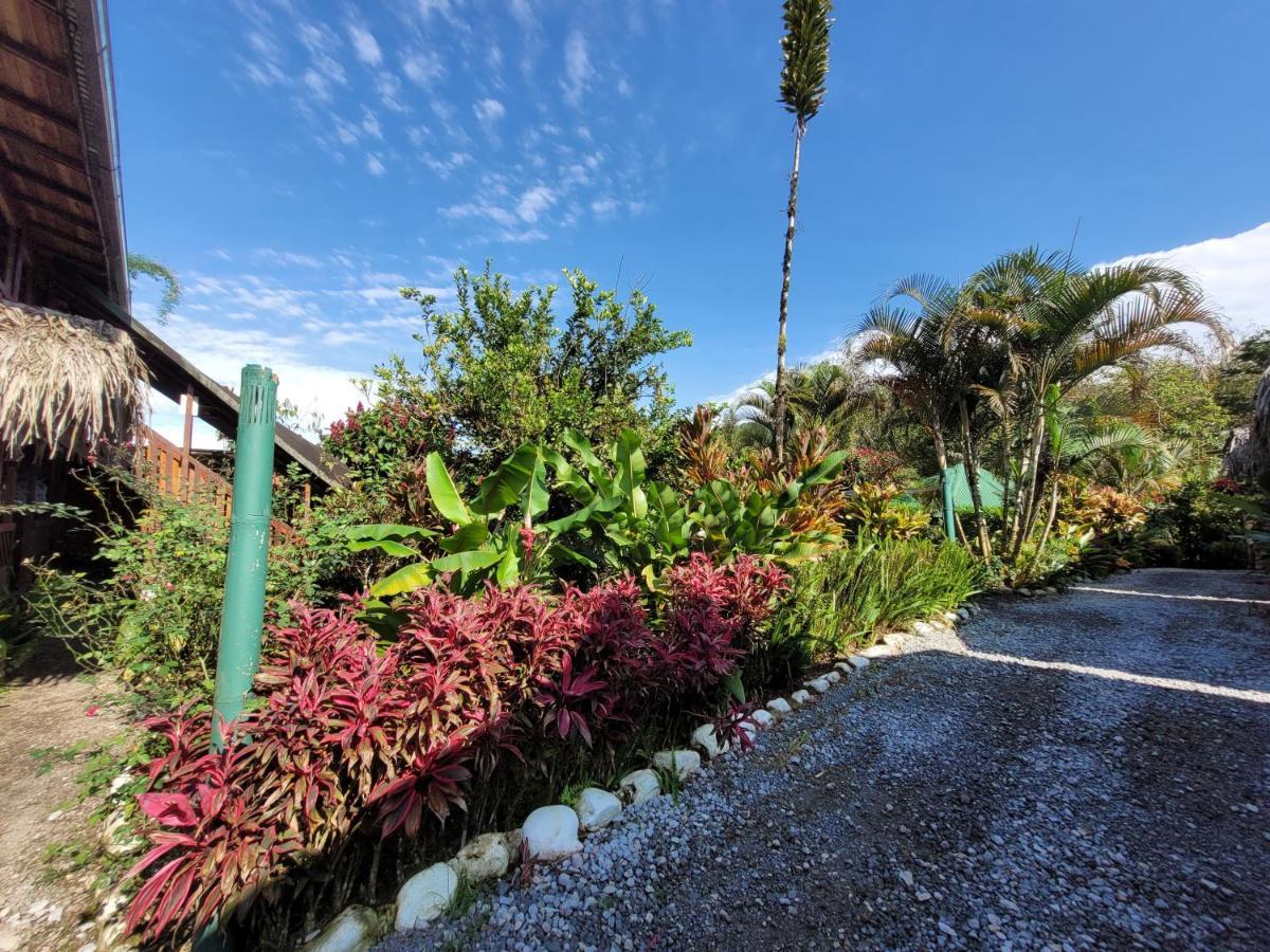Mindo Glambird Glamping & Lodge Bagian luar foto