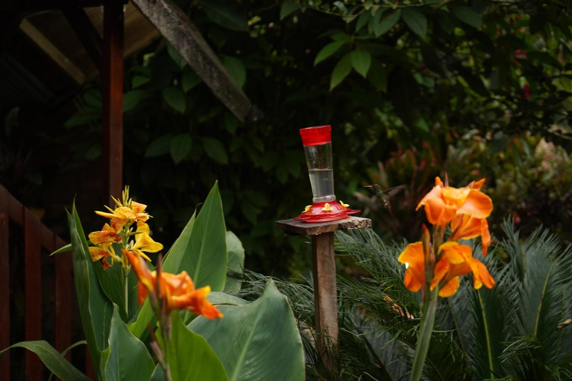 Mindo Glambird Glamping & Lodge Bagian luar foto