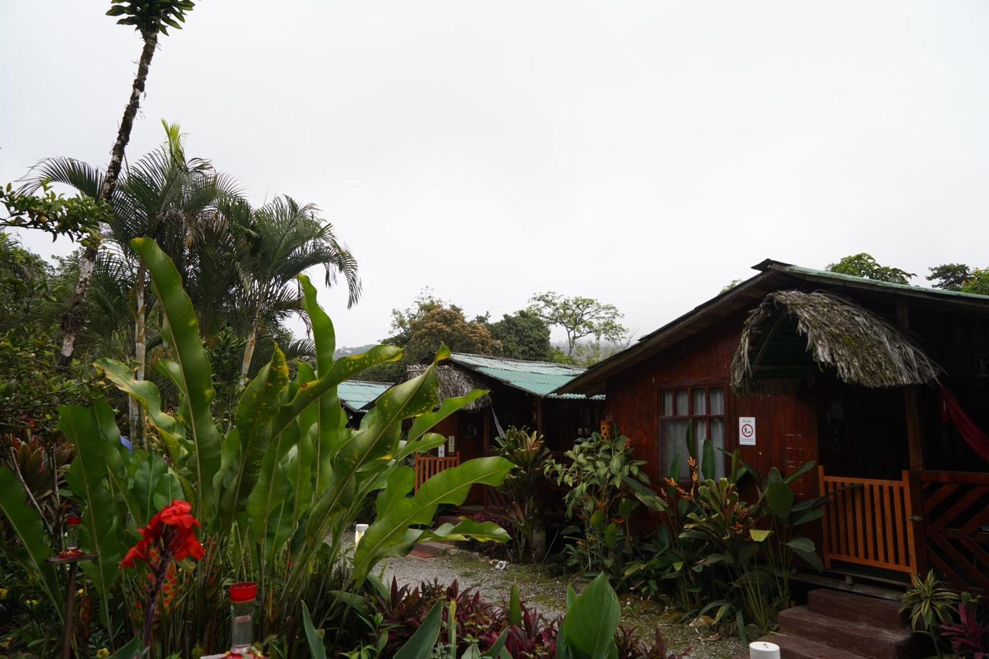 Mindo Glambird Glamping & Lodge Bagian luar foto