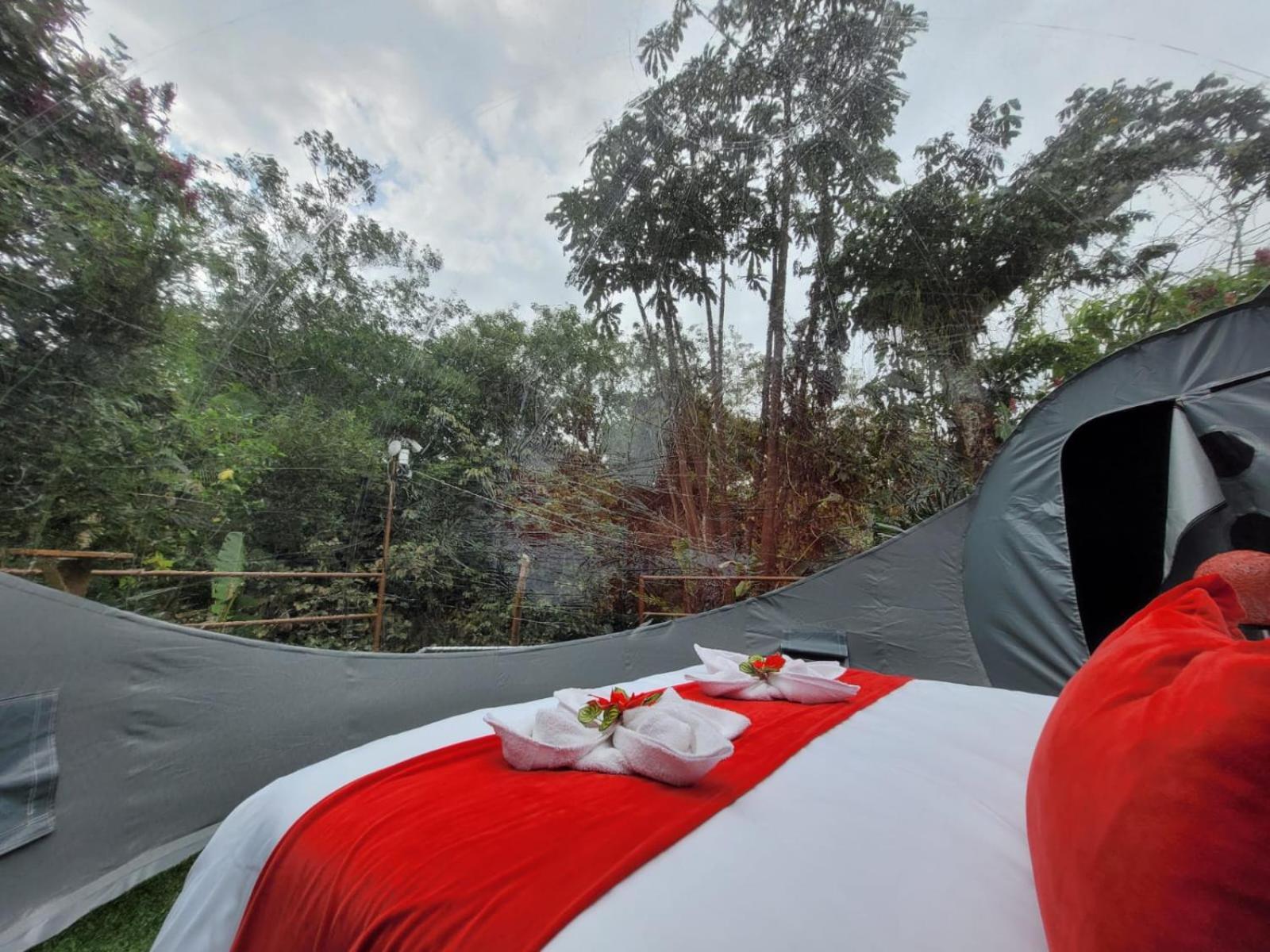 Mindo Glambird Glamping & Lodge Bagian luar foto