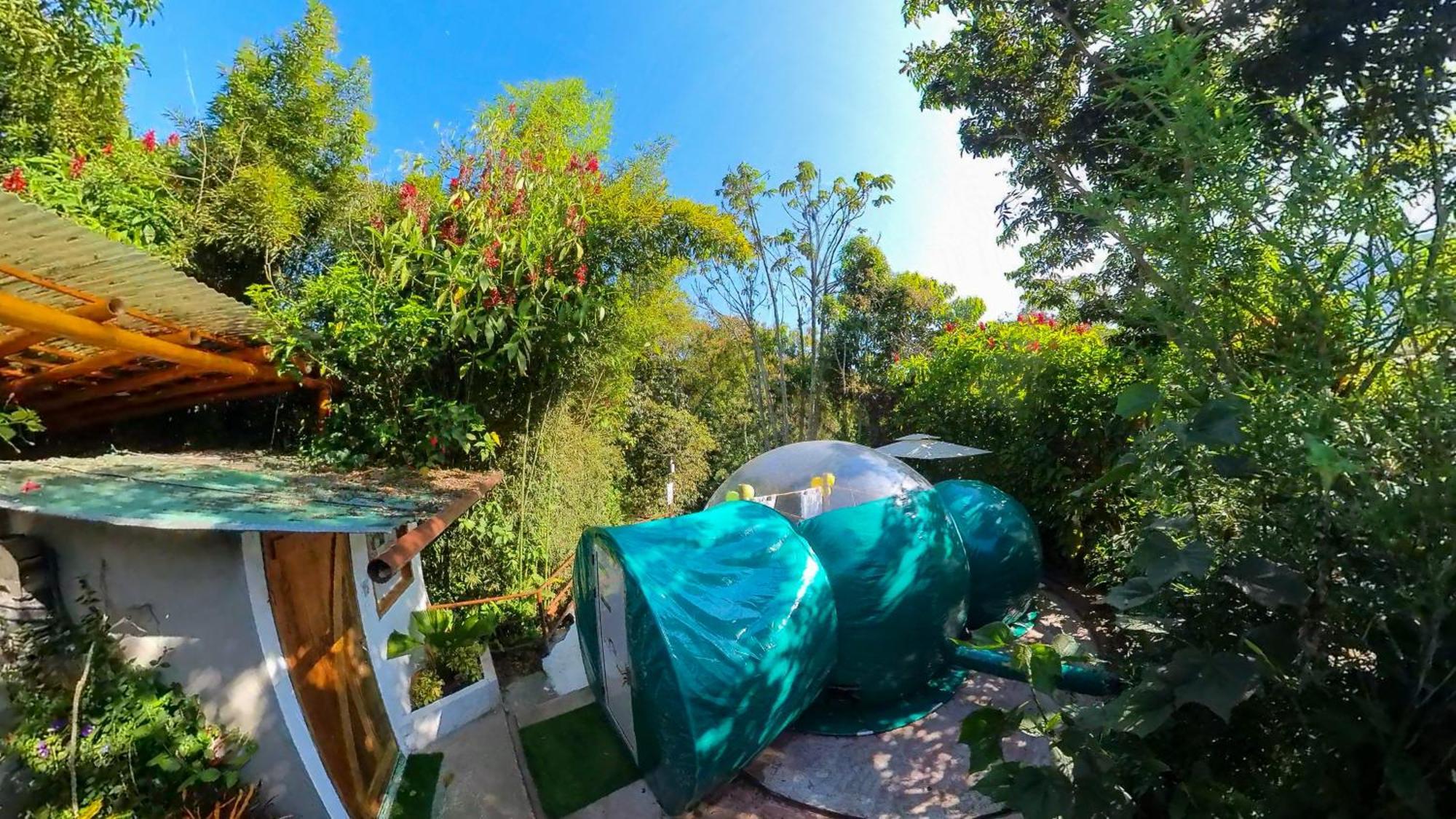 Mindo Glambird Glamping & Lodge Bagian luar foto